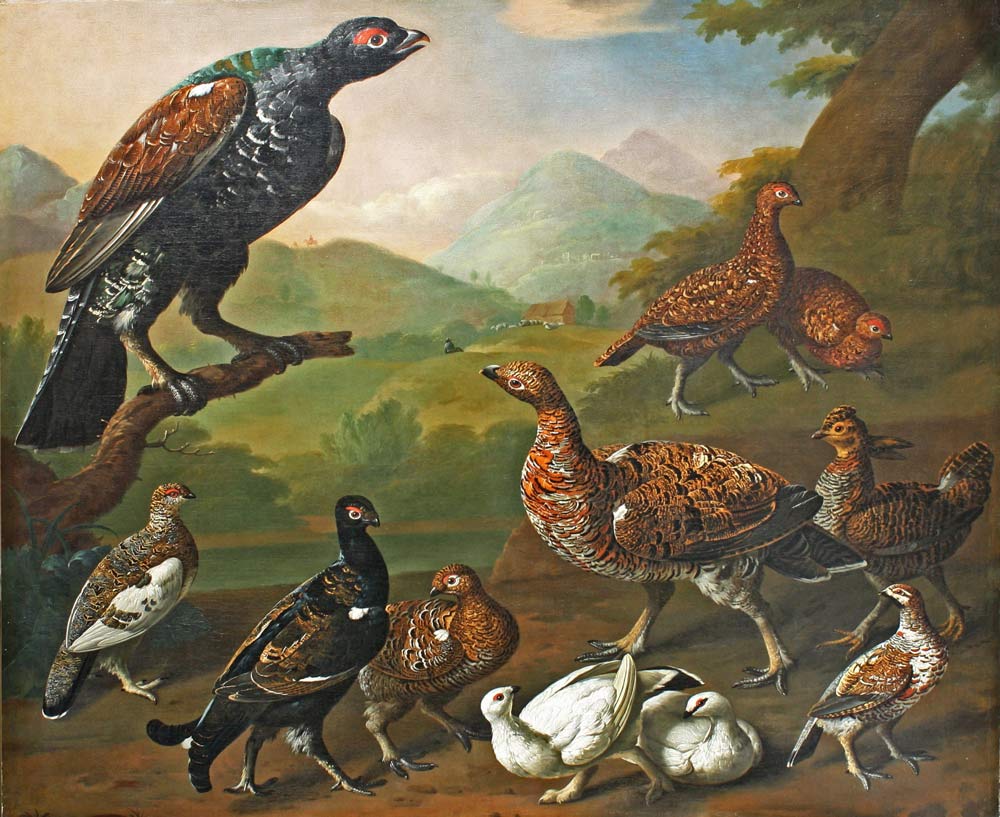 Colling painting