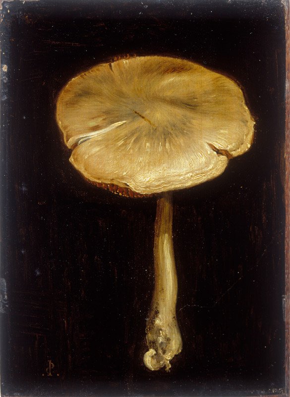 mushroom schnorr von carolsfeld 1820